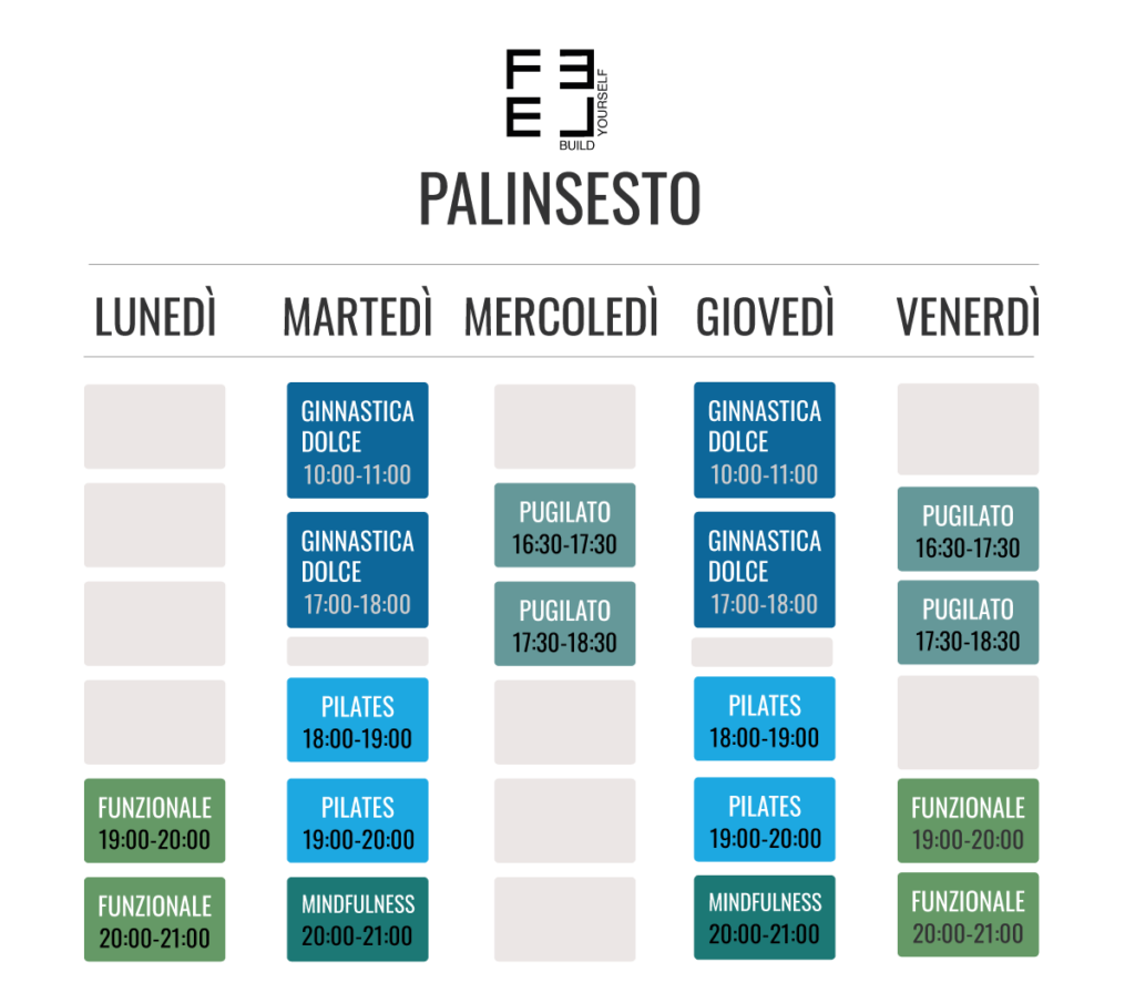 feel training - Palinsesto